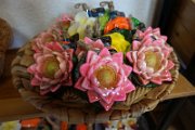 12: DSC05055